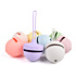 Acorn Baby Pacifier Silicone Bag with Lanyard Portable Dust Prevention Pacifier Storage Bag