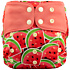 Lichtbaby Cartoon Watermelon Reusable and Waterproof Baby Pocket Diaper for 0-3 Year Olds - LS03Y65